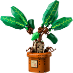 LEGO Harry Potter 76433 Mandrake (579 Pcs)