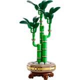 LEGO Botanicals 10344 Lucky Bamboo