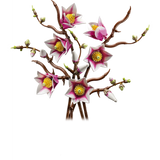 LEGO 11510 Botanicals Magnolia Branches